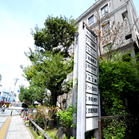 朝霞店