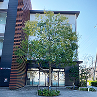 ハナミズキテラス店